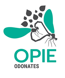 Groupe Opie Odonates